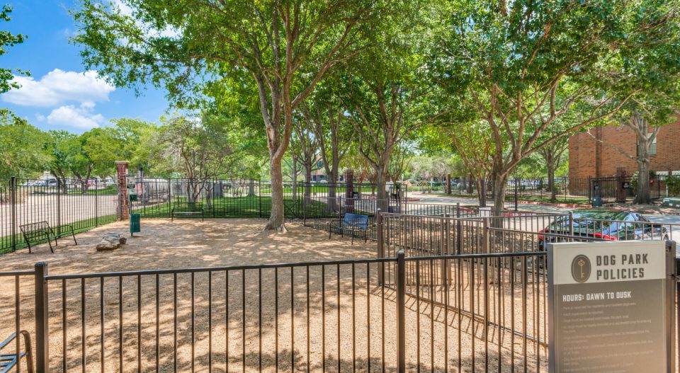 The Ellington Apartments in a Vibrant Plano Location